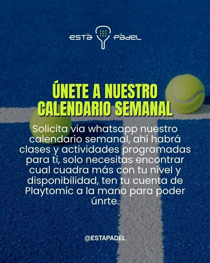 estapadel (2)