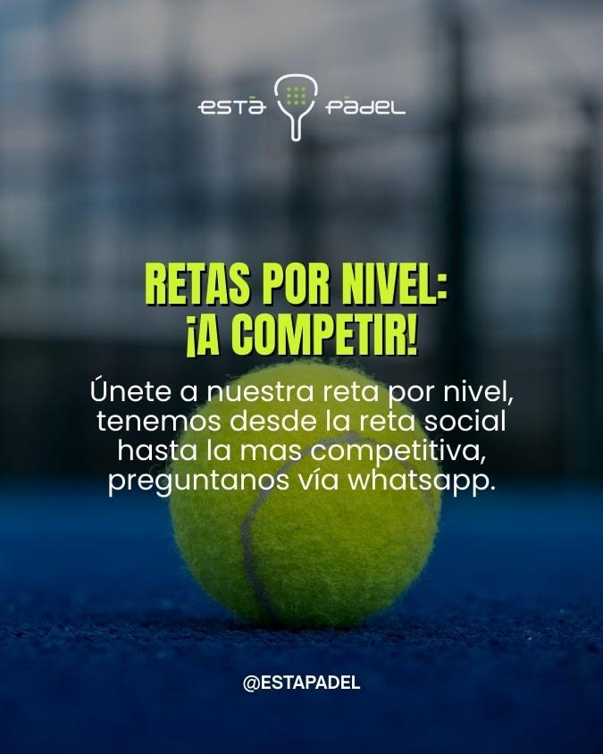 estapadel (3)